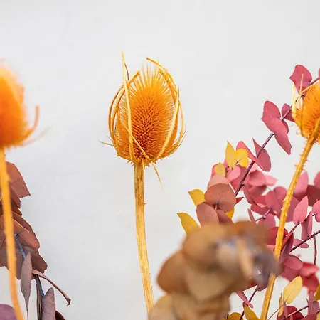 Gasthuis Palazzo Garibaldi Luxury &