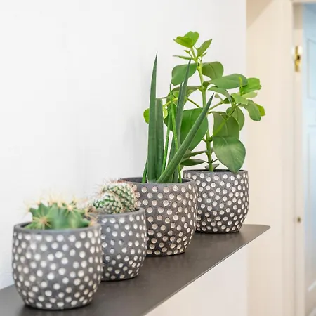 Palazzo Garibaldi Luxury & Πάρμα