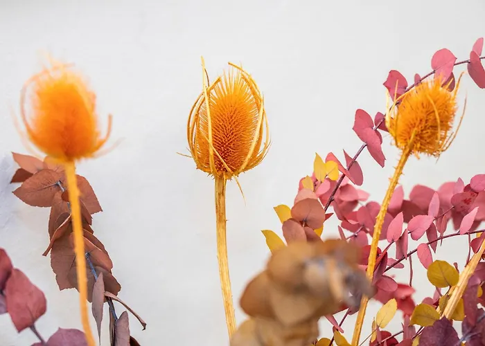 بيت ضيافة Palazzo Garibaldi Luxury &